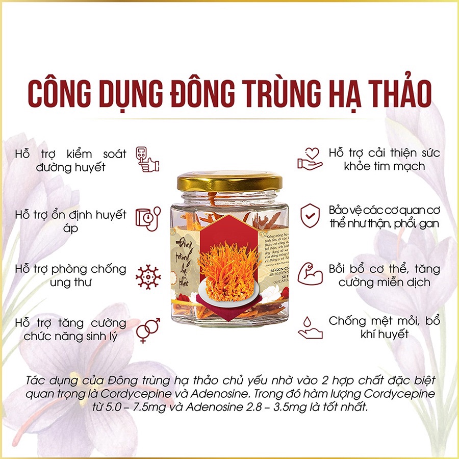 Hộp quà tặng 20/10 Saffron Nhụy Hoa Nghệ Tây Jahan 0.5Gr
