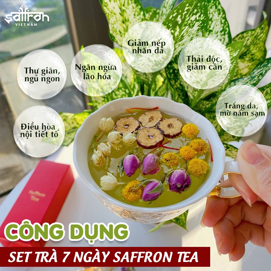 Hộp quà tặng 20/10 Saffron Nhụy Hoa Nghệ Tây Jahan 0.5Gr